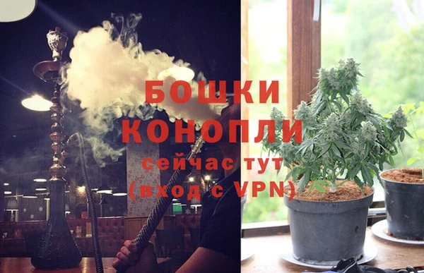 амф Нея